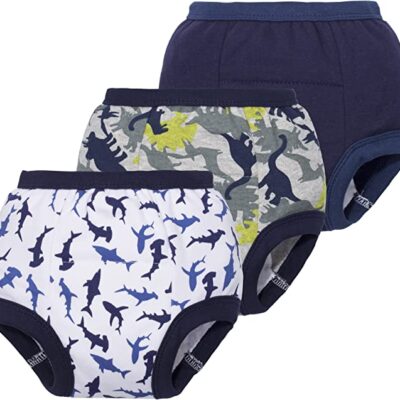 BIG ELEPHANT Toddler Potty Training Pants Baby Boys Cotton Underwear 10  Pack, 2T : : Baby